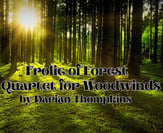 Frolic of Forest Quartet for Woodwinds  P.O.D cover